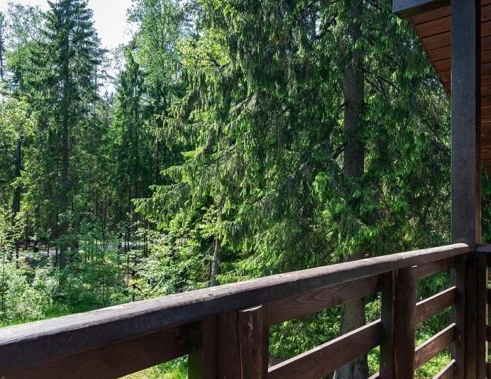 Вереск Апарт "Сауна" - Глэмпинг «Эко-парк Вереск» Ильичево